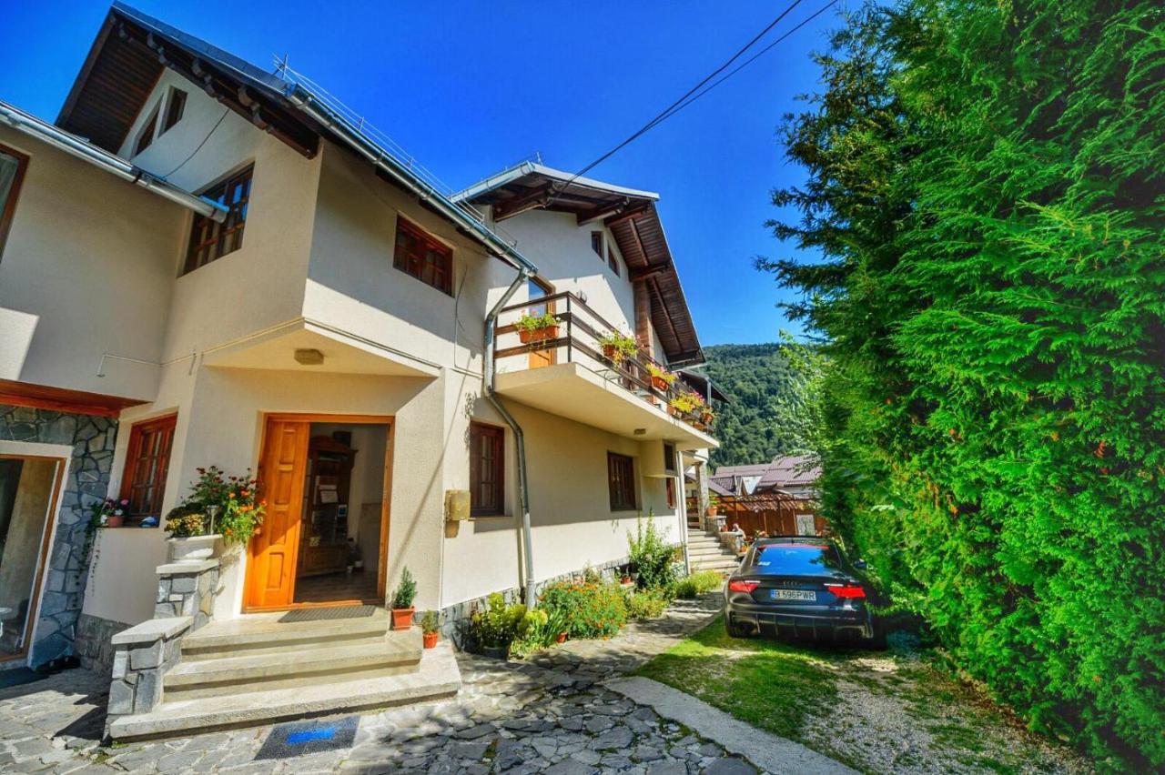 Amandra Chalet Sinaia Exterior foto