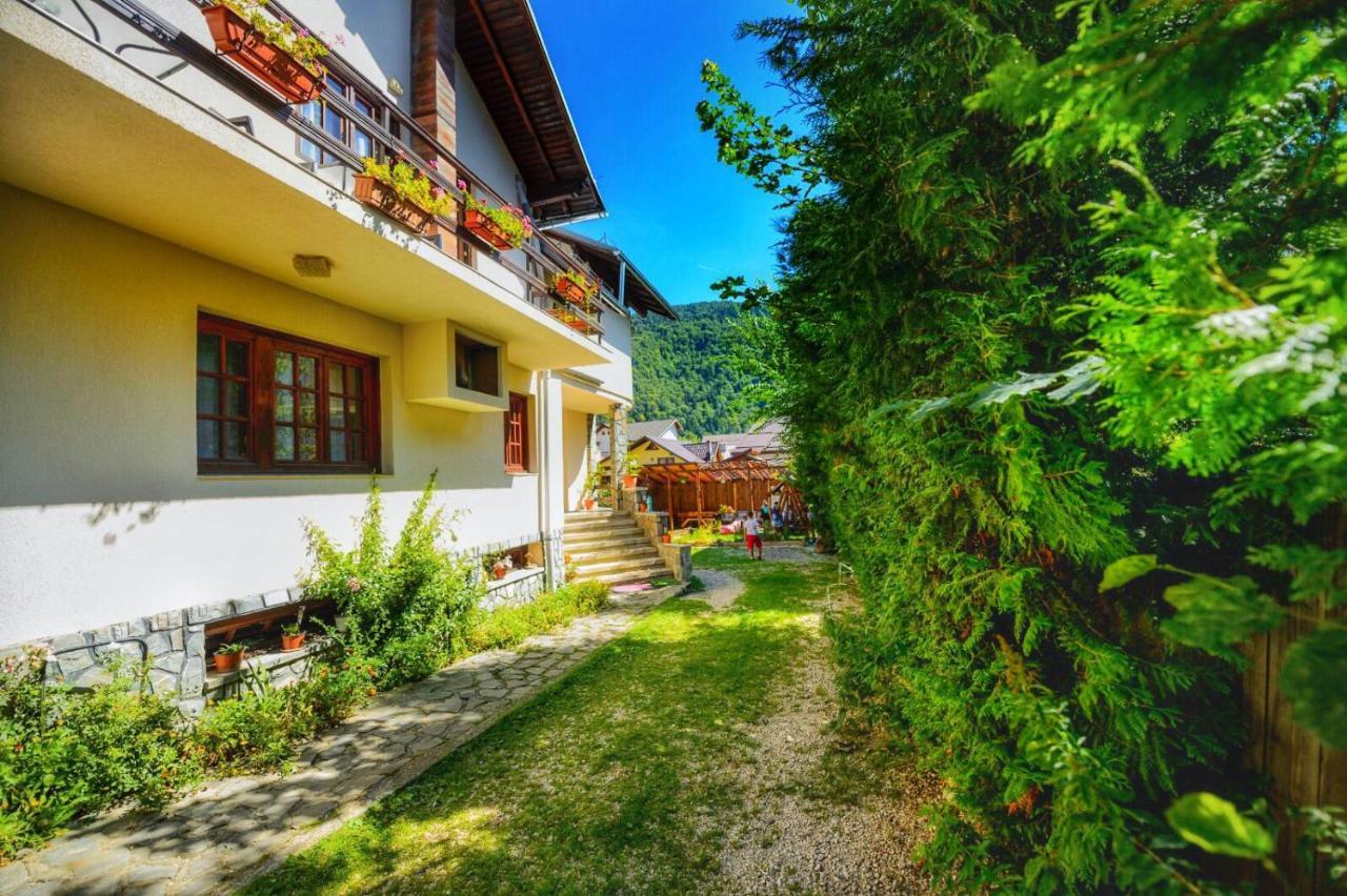 Amandra Chalet Sinaia Exterior foto